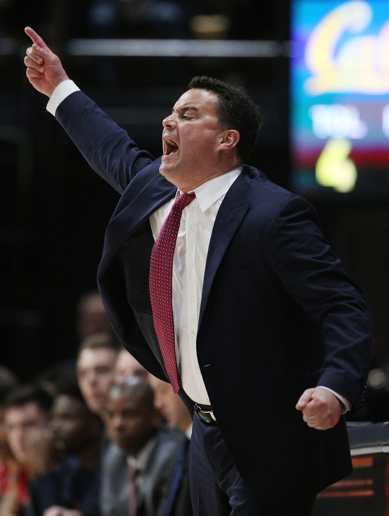 Arizona Wildcats vs. Cal Golden Bears men's college basketball (copy)